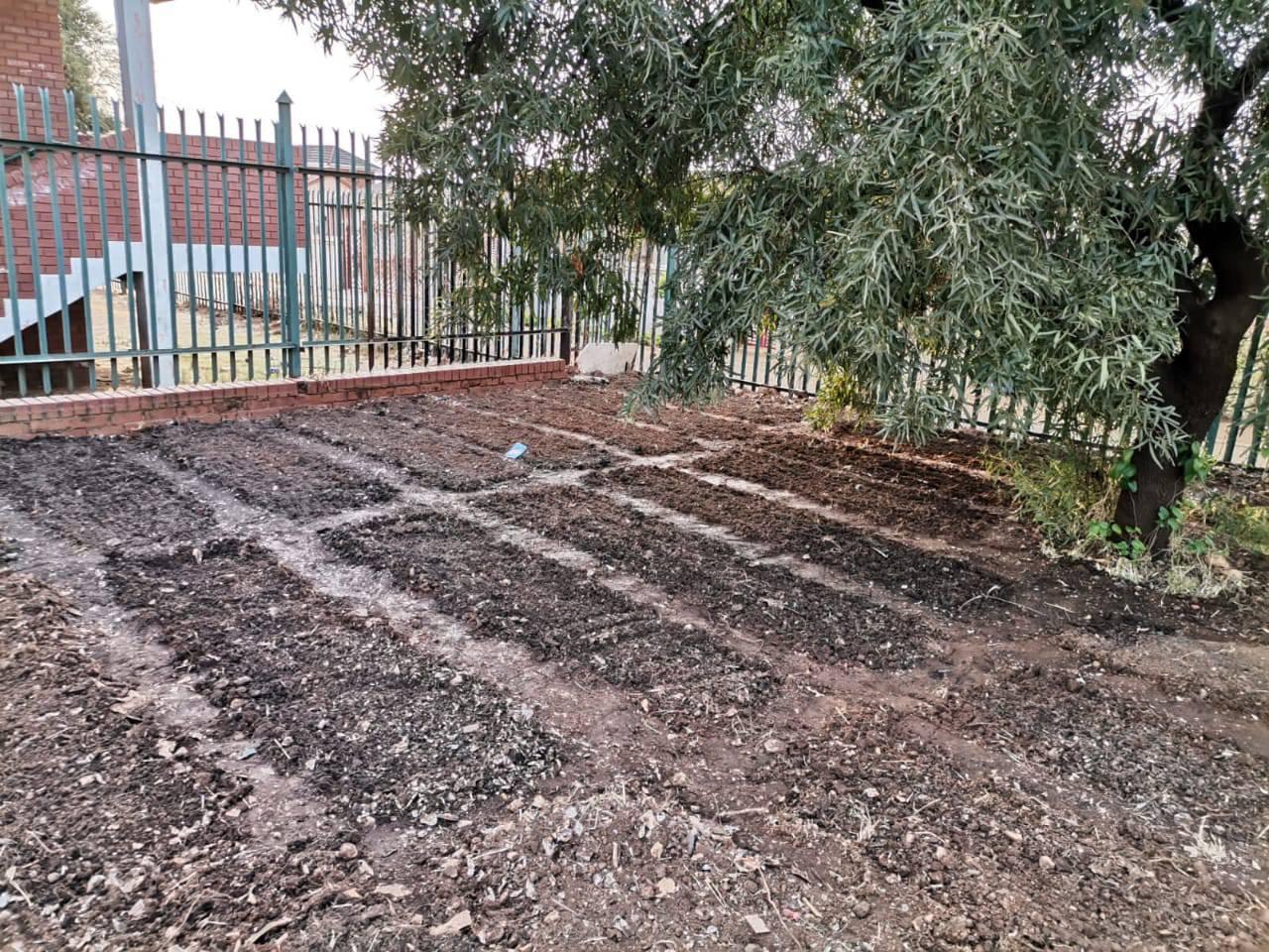 Humelela Youth Development Planting the seed